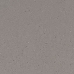 Close-up view of a gray concrete surface with a slightly rough texture. There are small specks and variations in shading, giving it a natural, unfinished look.