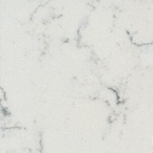 Close-up of a marble surface featuring a light gray base with subtle dark gray veining patterns. The texture appears smooth and polished, showcasing the natural elegance of the stone.